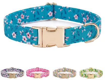 Produktbild von Hundehalsband für mittelgroße und große Hunde, blau, Größe M