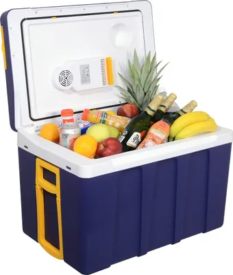 Produktbild von Compass 07126 - Kühlbox 50l 230V/12V fahrbare