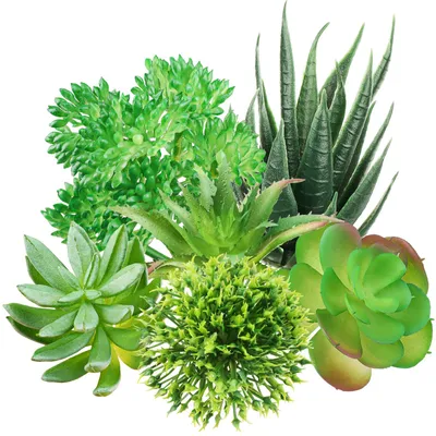 Image de Succulentes artificielles, lot de 6, petites succulentes artificielles, succulentes décoratives vertes pour le bureau, le salon et le jardin.