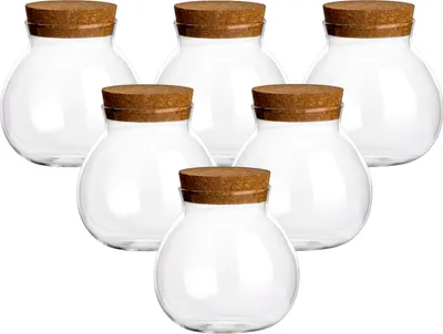 Immagine prodotto di set di 6 barattoli da 600 ml "Ball" in vetro borosilicato con tappo in sughero - Barattoli di vetro rotondi con tappo in sughero - Bellissimo barattolo di stoccaggio