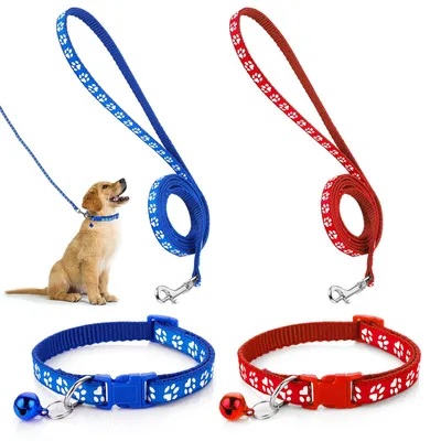 Produktbild von Hunde- und Katzenhalsband-Set - Verstellbare Halsband- und Leinenkombination - 542659-SALZZ-B
