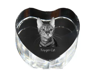 Produktbild von Toyger Katze - Kristalluhr mit Katzenbild, Herzregal-Uhr, personalisierte Standuhr von Art-Dog.