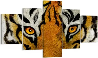 Produktbild von Bild auf Leinwand - Leinwandbild - Tiger Tiere Natur Safari - 125x70cm - Wand Bild - Wanddeko - Leinwanddruck - Bilder - Kunstdruck - Wanddekoration - Leinwand bilder - Wandkunst - EA125x70-1549