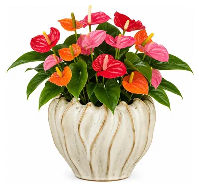 Produktbild von Mica Decorations Pflanzen-/Blumentopf Thom - cremefarben - Keramik - 17 x 22 cm