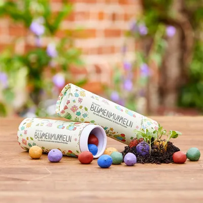 Obrázok produktu pre Puzdro s 25 farebnými kvetinovými guličkami Seedbombs so semenami divokých kvetov Farebné guličky so semenami