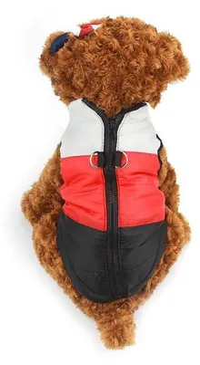 Image de Gilet rayé Surtep Animals