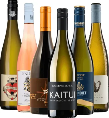 Produktbild von 6er Probierpaket Pfälzer Pfundskerle - Weine aus der Pfalz von VINELLO