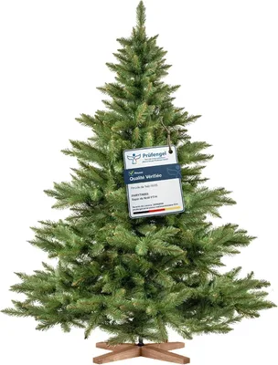 Image de FairyTrees Sapin de Noël Artificiel 180cm NORDMANN | Arbre de Noël avec Support en Bois | Sapin avec Tronc Vert | EU