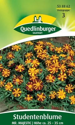 Produktbild von Quedlinburger Saatgut - Studentenblumen Mr. Majestic - Samen - 538862