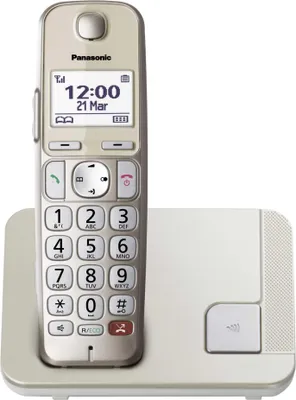 Produktbild von Panasonic KX-TGE250GN champagner