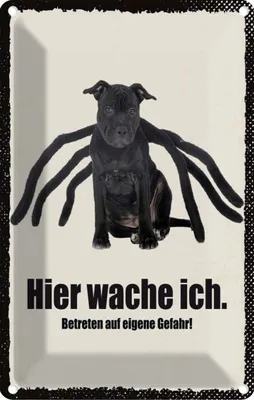 Produktbild von vianmo Blechschild 18x12 cm Hund hier wache ich eigene Gefahr