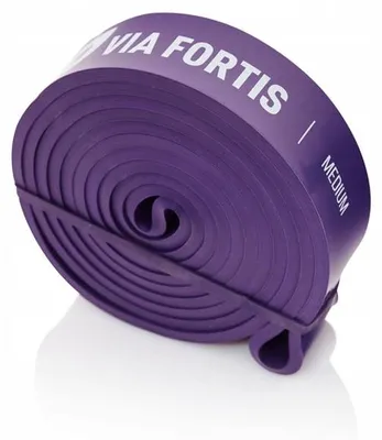 Productafbeelding van VIA FORTIS Premium weerstandsband + trainingshandleiding en tas (MEDIUM: 16 kg - 36 kg) - Weerstandsbanden/pull-up band en pull-up hulpmiddel/fitnessband/trainingsbanden voor fitness en krachttraining
