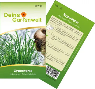 Zyperngras Katzengras Samen - Cyperus zumula - Zyperngrassamen - Katzengrassamen - Saatgut für 90 Pflanzen