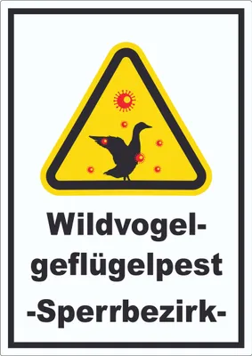 Produktbild von Wildvogelgeflügelpest Schild A4 Rückseite selbstklebend