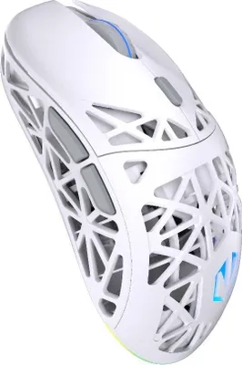 Obrázek produktu pro ENDORFY LIV Plus Wireless Onyx White, Pro praváky i leváky, Optický, Bluetooth, 26000 DPI, Bílá