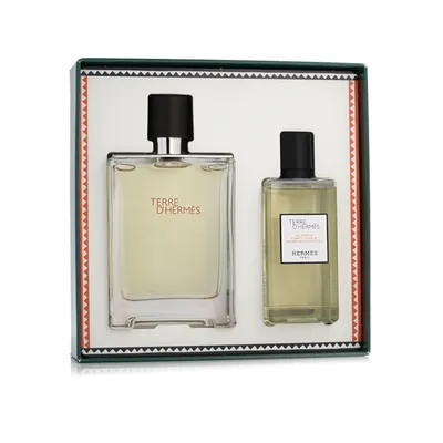 Produktbild von Hermès Terre D'Hermès EDT 100 ml + SG 80 ml (man)