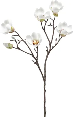 Produktbild von artplants.de Künstliche Magnolie ANEU, Creme, 65cm - Deko Magnolie/Plastik Blume