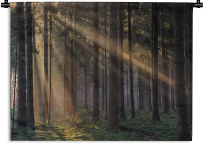 Produktbild von MuchoWow® Wandteppich Wandbehang Bäume - Wald - Sonne - Pflanzen 120x90 cm Tapisserie Dekoration Wandtuch - Wohnen - Aufhänger für die Wand
