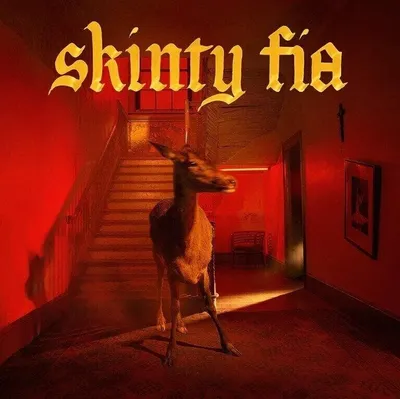 Zdjęcie produktu dla Fontaines D.C. - Skinty Fia (LP)