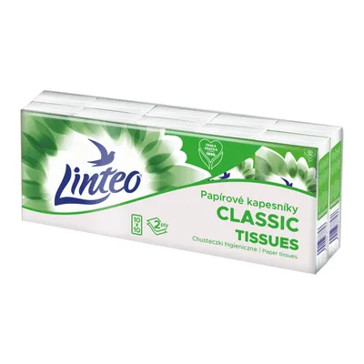 Zdjęcie produktu dla Linteo Chusteczki Higieniczne 2 Warstwy 10x10szt 100% Celuloza Miękkie
