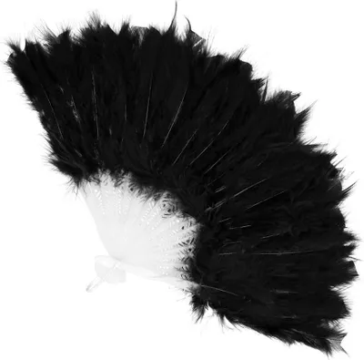 Image de Éventail en plumes noir