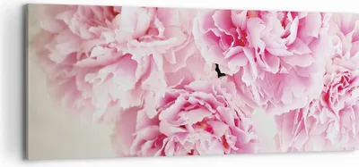 Produktbild von Bild auf Leinwand - Leinwandbild - Einteilig - Pfingstrosen Blumenstrauß Blumen - 120x50cm - Wand Bild - Wanddeko - Wandbilder - Leinwanddruck - Bilder - Wanddekoration - Leinwand bilder AB120x50-4961