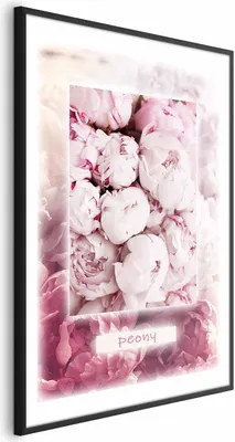 Produktbild von Posterpapier Poster - Spring Delicacy 60x90 cm Blumen b-C-0578-ao-a