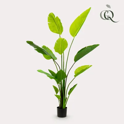 Image de Green boutiQ - Plante artificielle - Strelitzia Nicolai - Paradijsvogelbloem - 150 cm - Vert - Sans entretien - Haute qualité