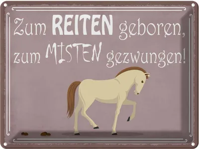 Produktbild von vianmo Blechschild 30x40 cm zum Reiten geboren Pferd Tier Haustier