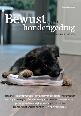 Produktbild von Buch