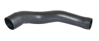 Image de BUGIAD Tuyau d'air de suralimentation