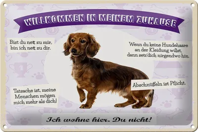 Produktbild von Blechschild Spruch 30x20cm Tiere Dackel willkommen wohne hier