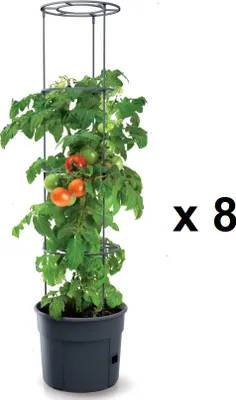 A tomato plant in a pot with a support cage, next to the text 'x 8'.