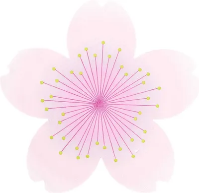 Produktbild von Serviette Kirschblüte,MIX