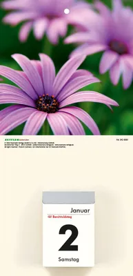 Produktbild von Bildrückwände für Typ 301 und 302 Blumen sortiert