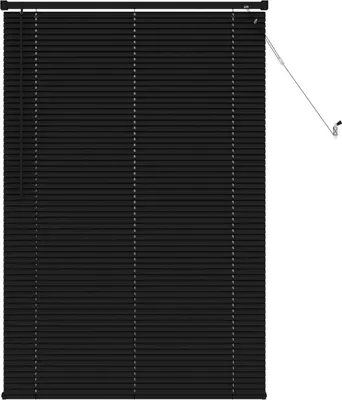 Produktbild von vidaXL Jalousie Schwarz 150 x 70 cm 25 mm PVC
