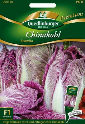 Produktbild von Chinakohl Scarvita F1 | Chinakohlsamen von Quedlinburger