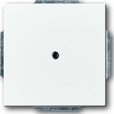 Produktbild von Busch-Jaeger Blindzentralscheibe, 1742-84, mit Tragring, für Leitungsauslass, studioweiß, 1 Stk.
