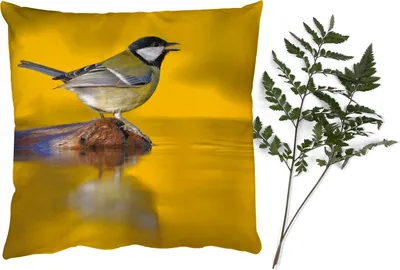 Produktbild von MuchoWow® Zierkissen Sofakissen Wohnzimmer Dekokissen 45x45 cm Kohlmeise - Vogel - Wasser - Schlafpolster - Polster für das Sofa