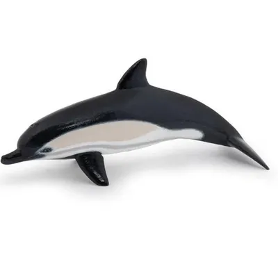 Image de Papo Wild Life Dauphin commun 56055