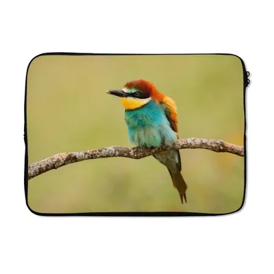 Produktbild von MuchoWow® Laptop Hülle 13 Zoll Vogel - Bienenfresser - Tiere Laptoptasche - Laptophülle - Sleeve - Rundumschutz