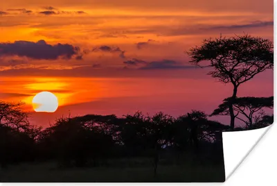 Produktbild von MuchoWow® Poster Blick auf den Sonnenuntergang im Serengeti-Nationalpark in Tansania 180x120 cm - Fotoplakat
