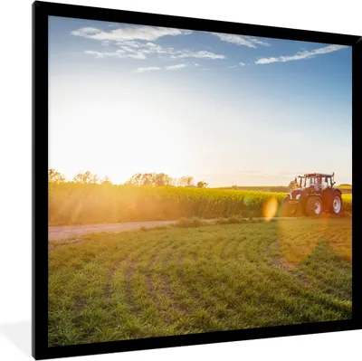 Produktbild von MuchoWow® Gerahmtes Poster Traktor - Gras - Sonnenuntergang 40x40 cm - Poster mit Schwarzem Bilderrahmen Wandposter Rahmen Foto Bilder - Mit Rahmen - Wanddekoration Schlafzimmer