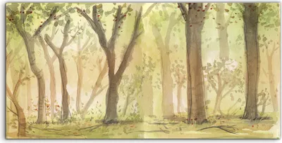 Produktbild von Coloray - Glasbild - 100x50 cm - Wandbild - Glasbilder - Foto groß Wald Bäume Aquarell Wälder