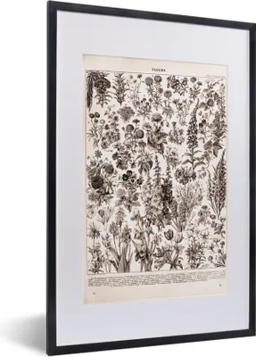 Produktbild von MuchoWow® Gerahmtes Poster Blumen - Pflanzen - Schwarz - Weiß 40x60 cm - Poster mit Schwarzem Bilderrahmen Wandposter Rahmen Foto Bilder - Poster in Rahmen
