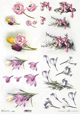 Immagine prodotto di ITD carta di riso per decoupage A3 tulipano, croco 1034L