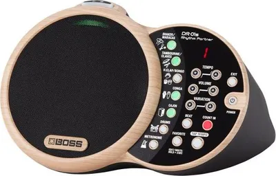 Immagine prodotto di Batteria Boss DR-01S Rhythm Partner
