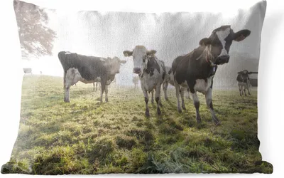 Produktbild von MuchoWow® Outdoor Kissen - Kuh - Gras - Nebel - 60x40 cm - Wetterfest - Lounge Kissen - Zierkissen - Kissen für Innenräume