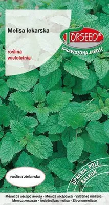 Produktbild von Samen von Melissa officinalis 0.2g - Torseed