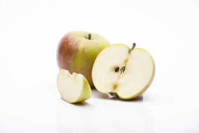 Produktbild von Malus 'Cox Orange Renette', Apfelbaum, 40 cm Stammhöhe